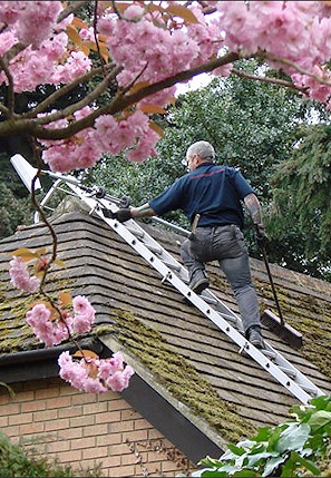 Our staff cleaning the moss from a roof in Winnall near Winchester